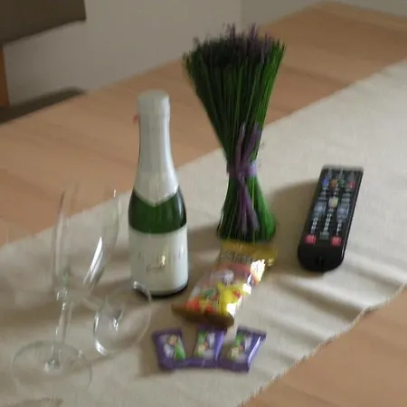 Berghof Geisler Aparthotel Finkenberg