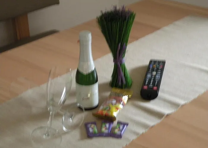 Berghof Geisler Aparthotel Finkenberg